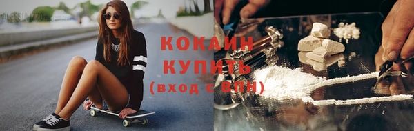 твердый Аркадак