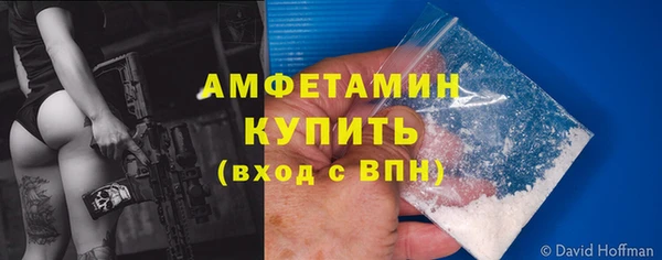 твердый Аркадак