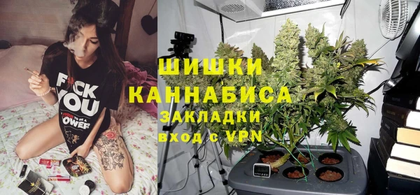 трава Арсеньев