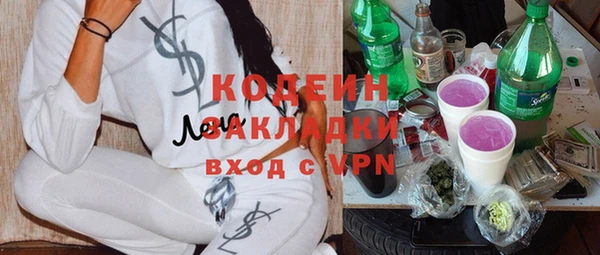 твердый Аркадак