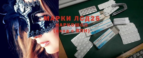 твердый Аркадак