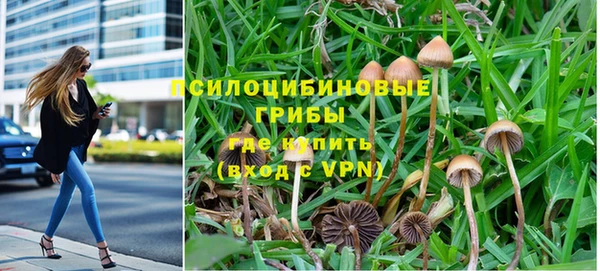 твердый Аркадак