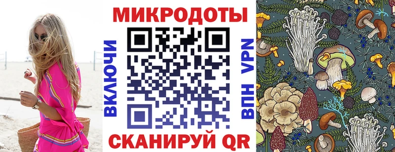 Галлюциногенные грибы мицелий  kraken зеркало  Волгоград 