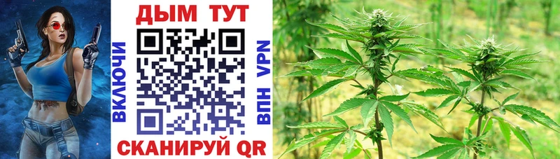 Бошки марихуана индика купить Волгоград